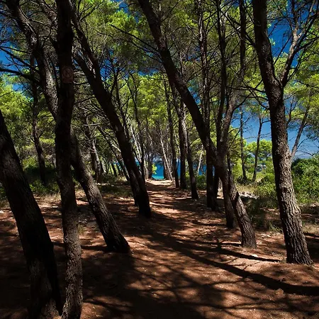 Daire Gold & Silver Brna