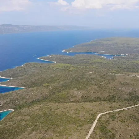 Daire Gold & Silver *