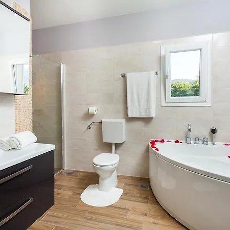 Gold & Silver Apartment Brna